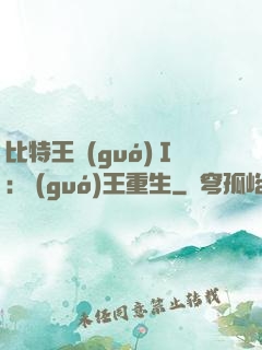比特王國(guó)Ⅰ: 國(guó)王重生